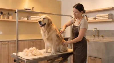 A dog being groomed on the grooming table