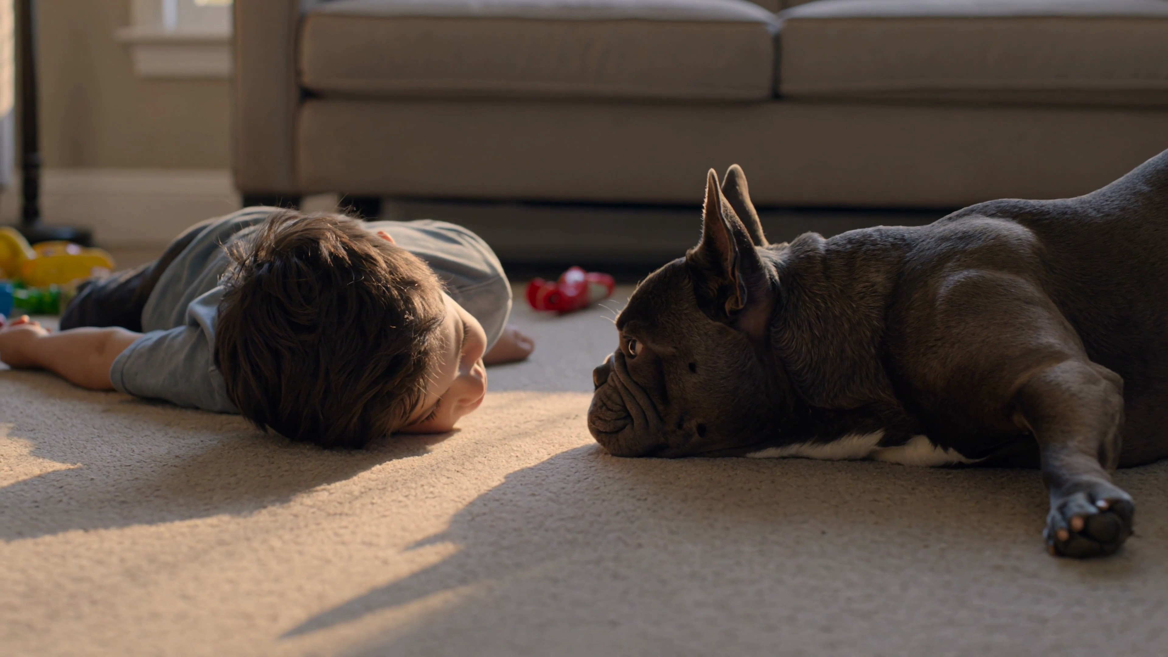 Child lying on the floor face to face with their dog