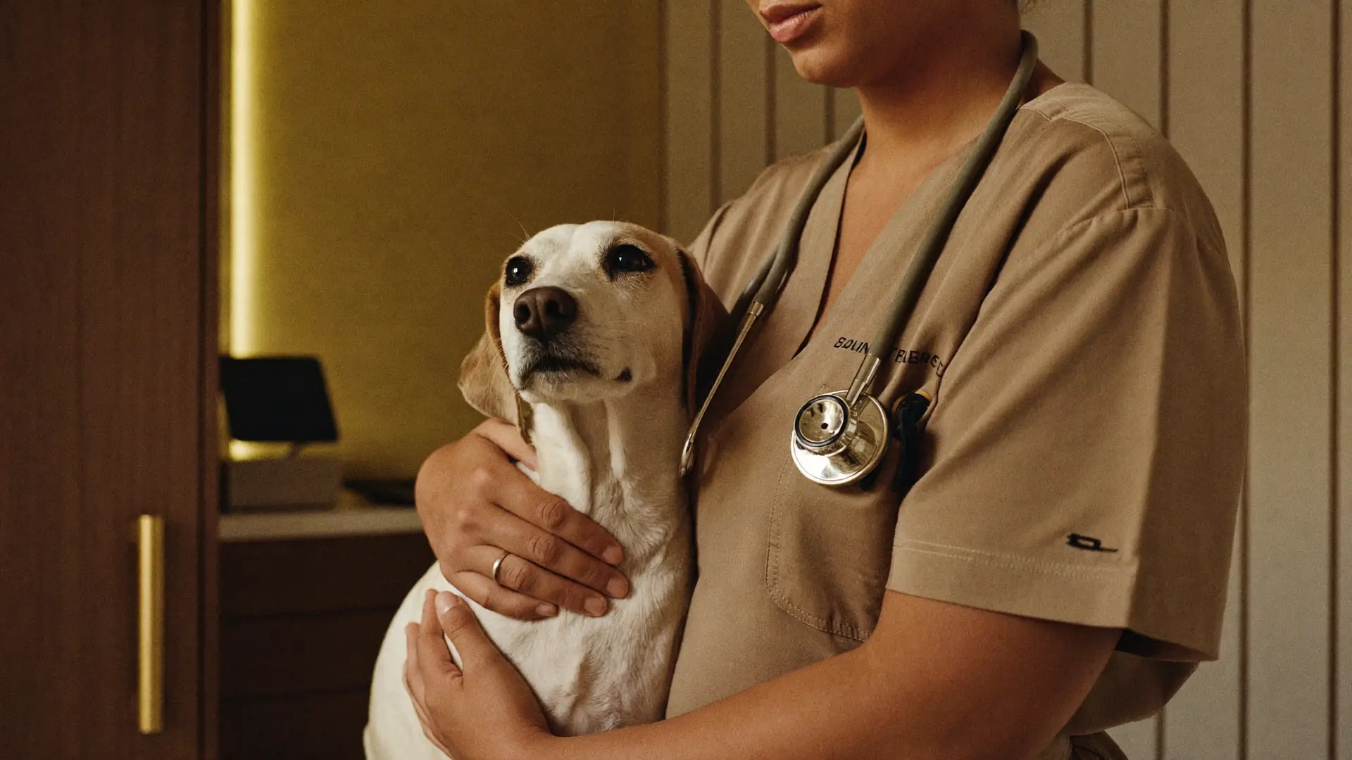 A nurse holding a calm dog close in a warm boutique veterinary clinic