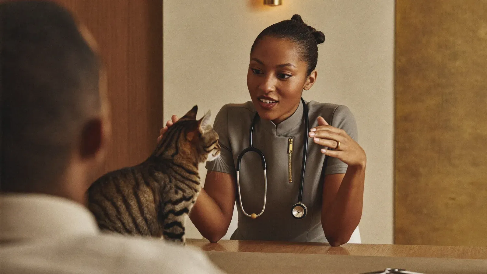 Understanding Vet Pricing in Dubai: What You Should Expect to Pay