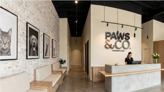 Paws & Co clinic reception