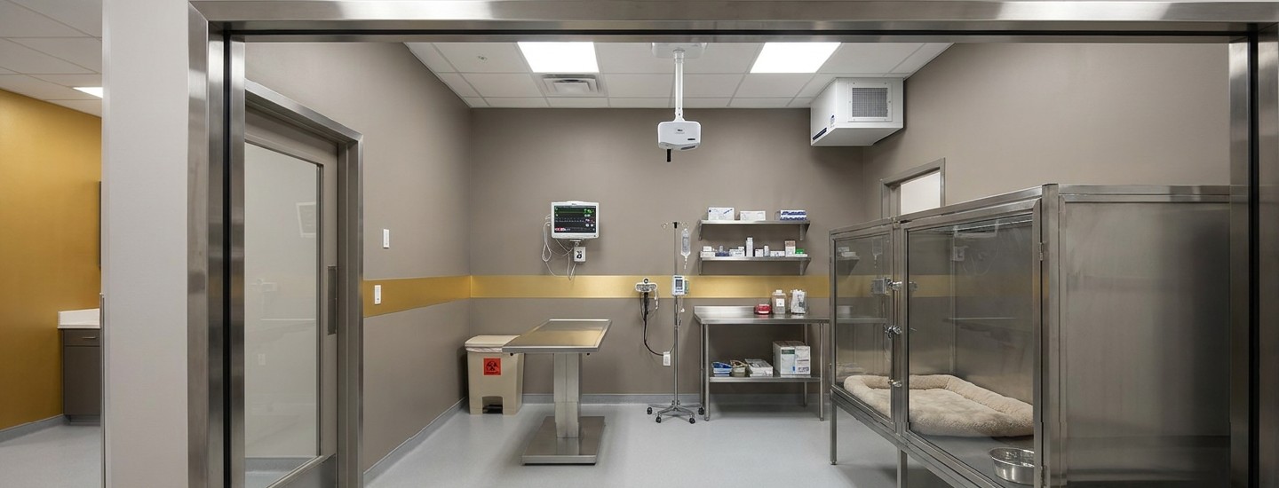 Isolation suite with observation window and independent ventilation