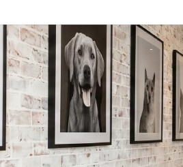 Portrait gallery wall