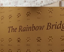 The Rainbow Bridge memorial