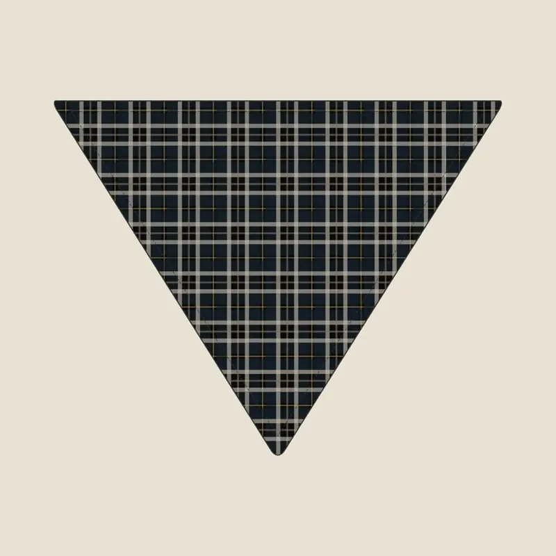 The matching Paws Tartan bandana