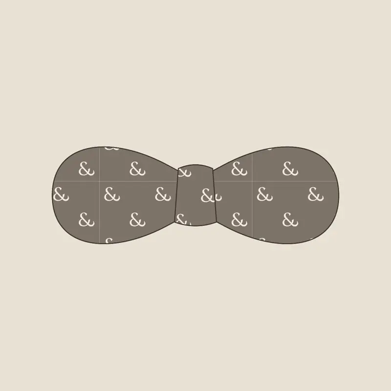 Bone on Taupe bow tie, flat
