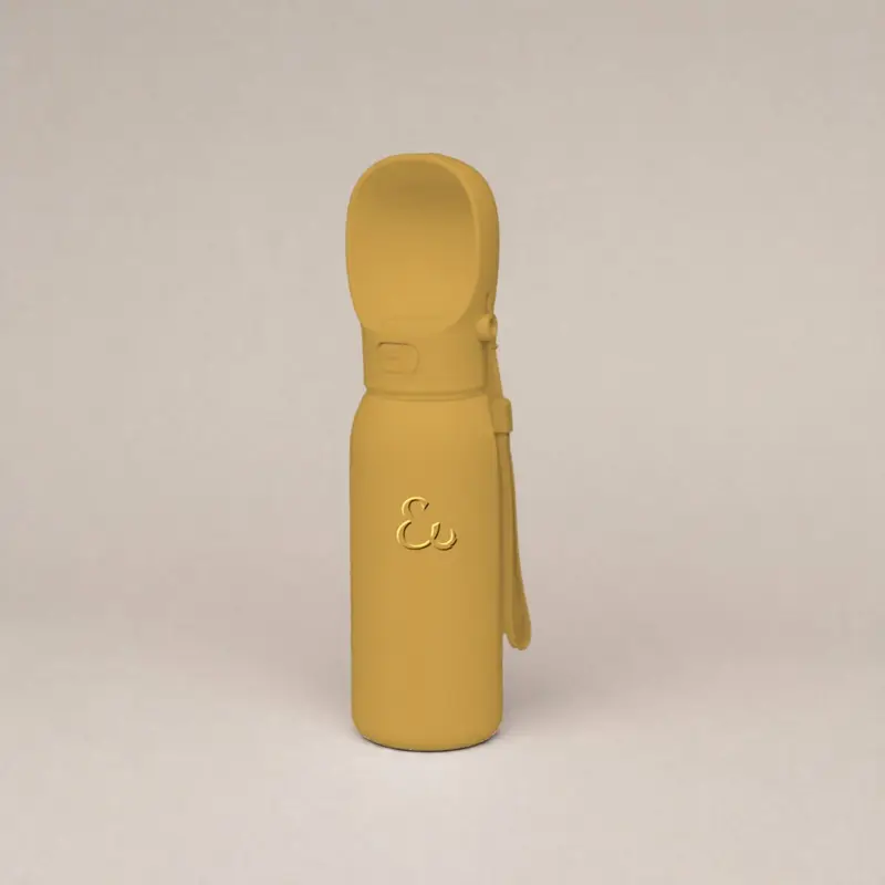 Travel water bottle, gold