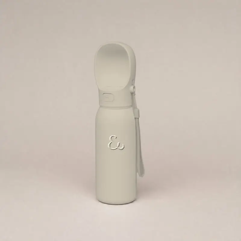Travel water bottle, stone