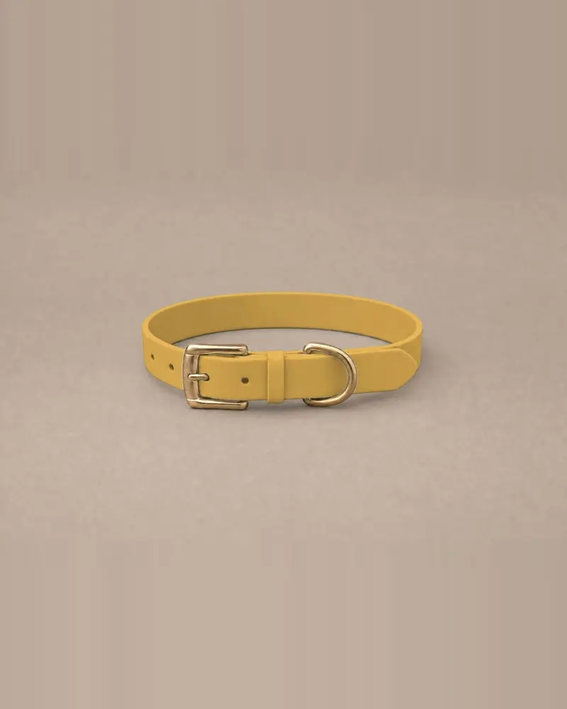 Leather collar, gold