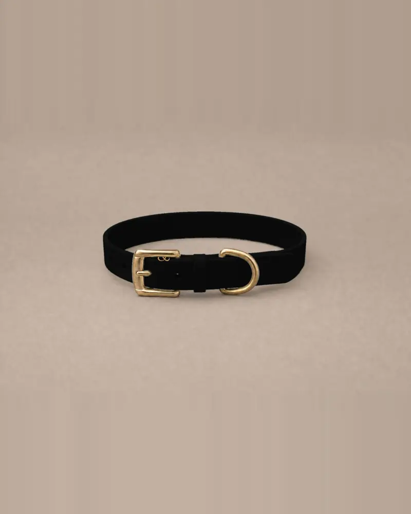 Leather collar, ink