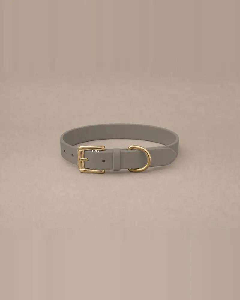 Leather collar, taupe