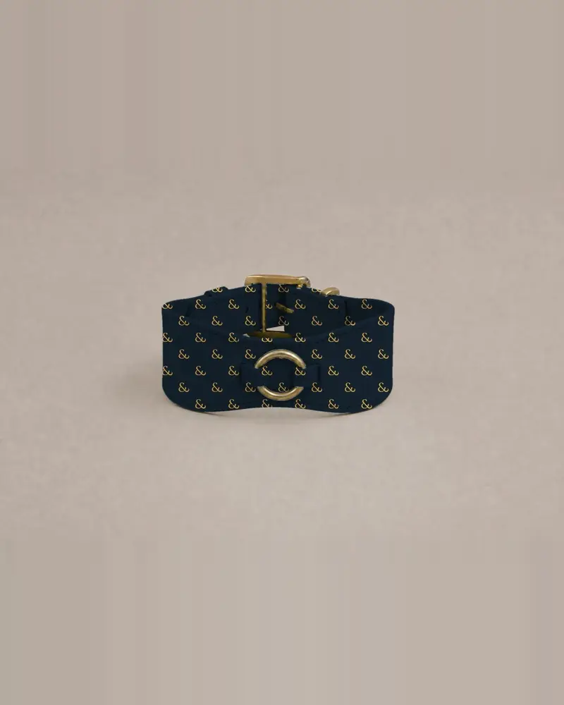Sighthound collar, gold on navy