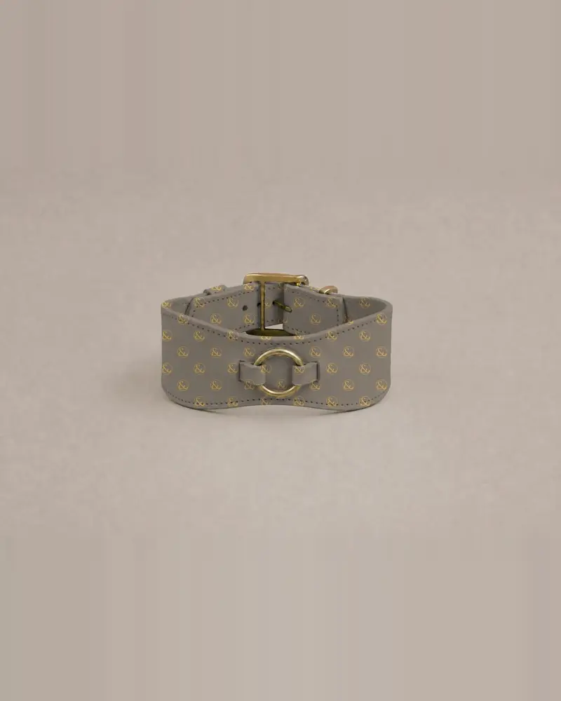 Sighthound collar, gold ring on taupe