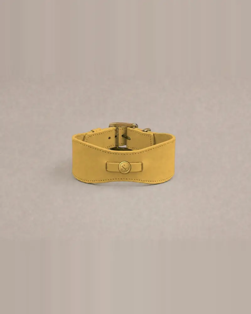 Sighthound collar, gold