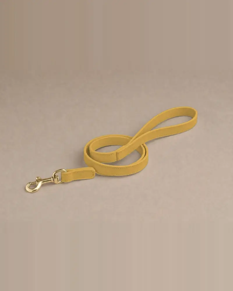 Leather lead, gold