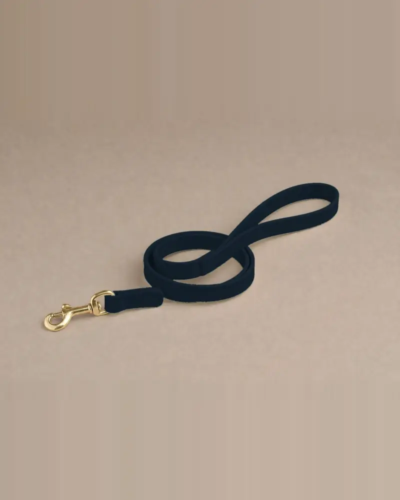 Leather lead, navy