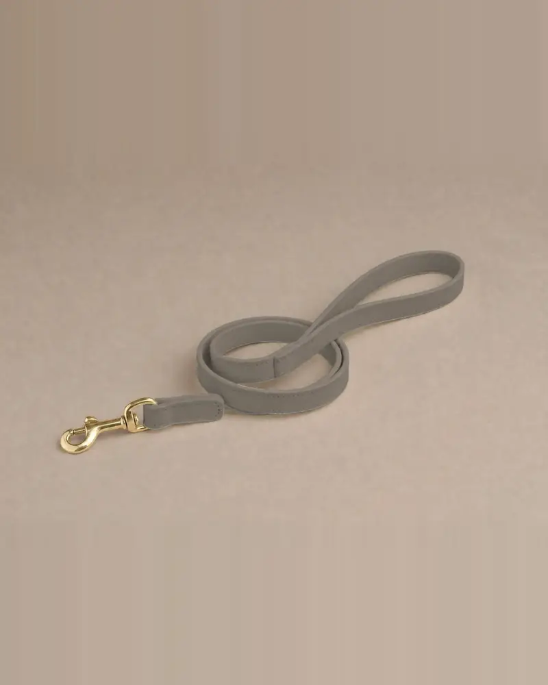 Leather lead, taupe