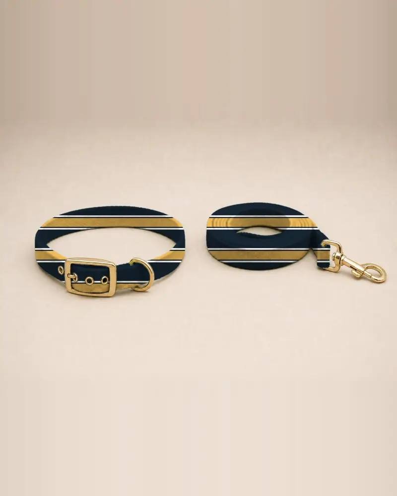 Printed collar and lead, regimental stripe