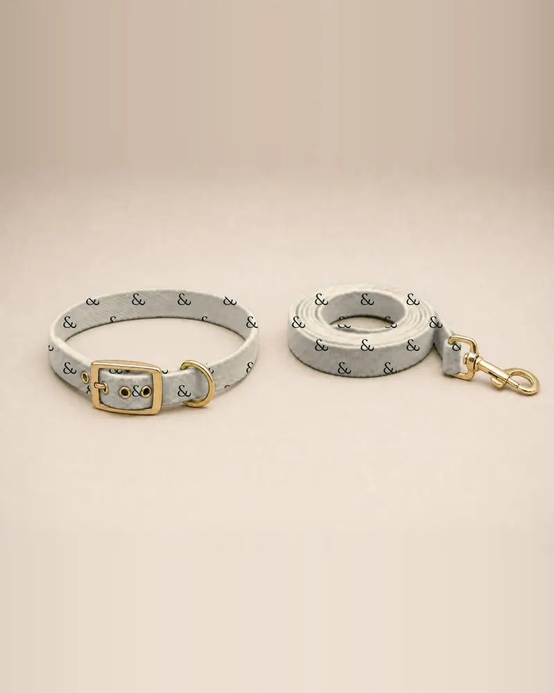 Printed collar and lead, navy on stone