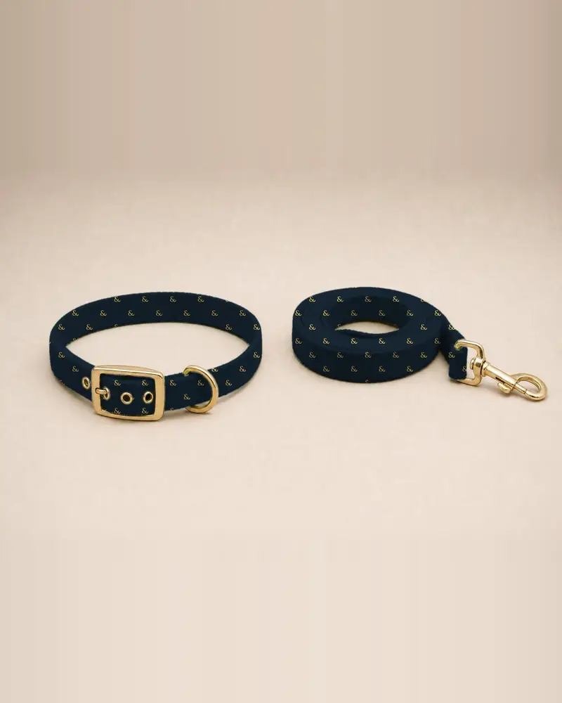 Printed collar and lead, mustard ditsy