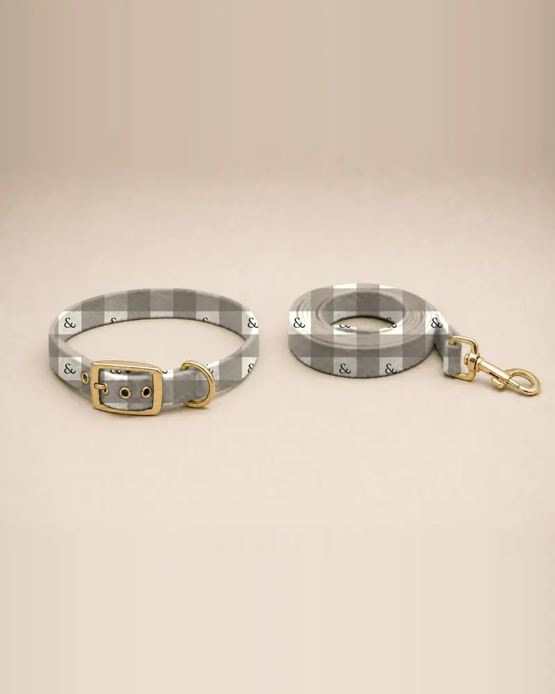 Printed collar and lead, taupe gingham