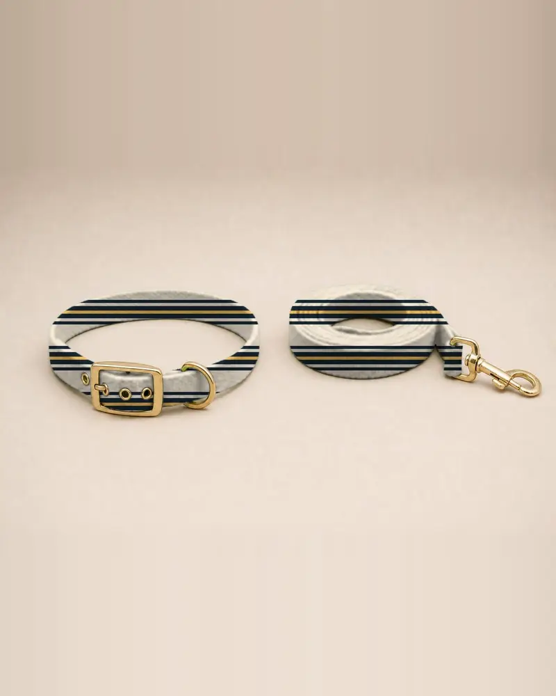 Printed collar and lead, stone regimental