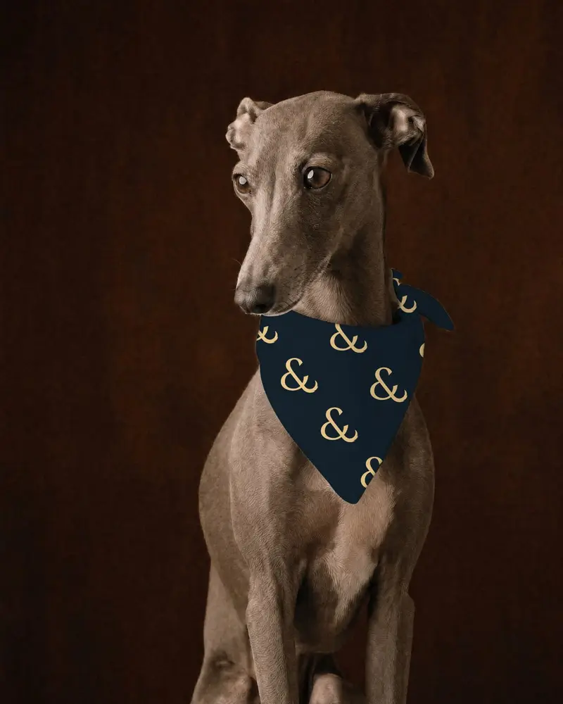 Big Ampersand bandana, worn
